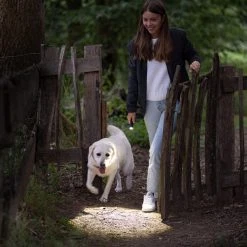 Boating Flashlights LEDLenser P5R Core Rechargeable Flashlight | Adjustable Focus -Cheap Brightguy Store LED Lenser P5R Core Rechargeable Flashlight 6 600x600 1